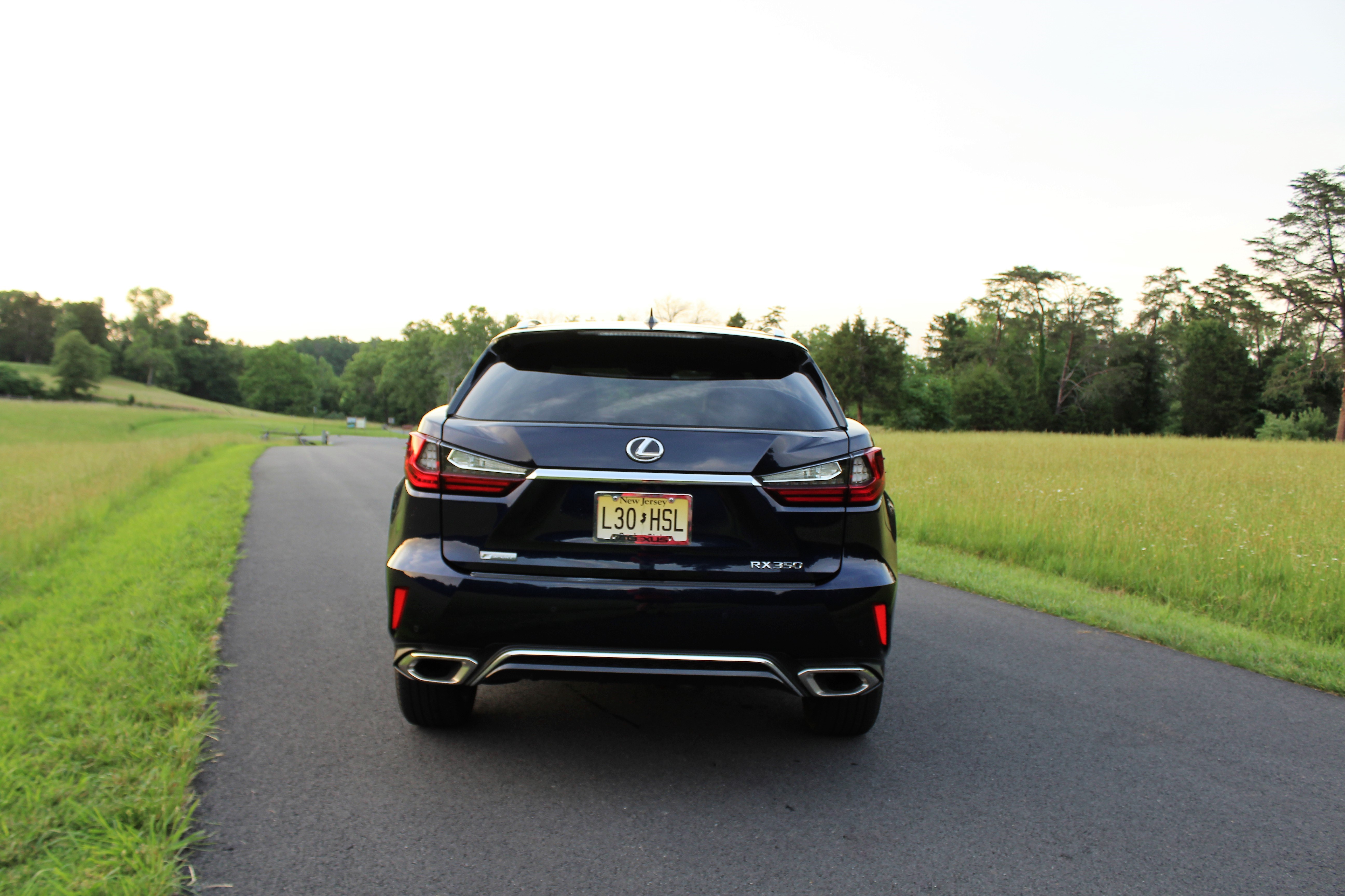 Lexus RX 350 F-Sport-Rear-Colonial-Roads