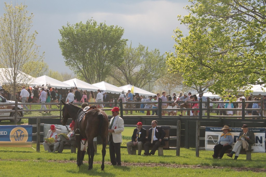 Virginia_Gold_Cup_Plains_Arundel Colonial Roads