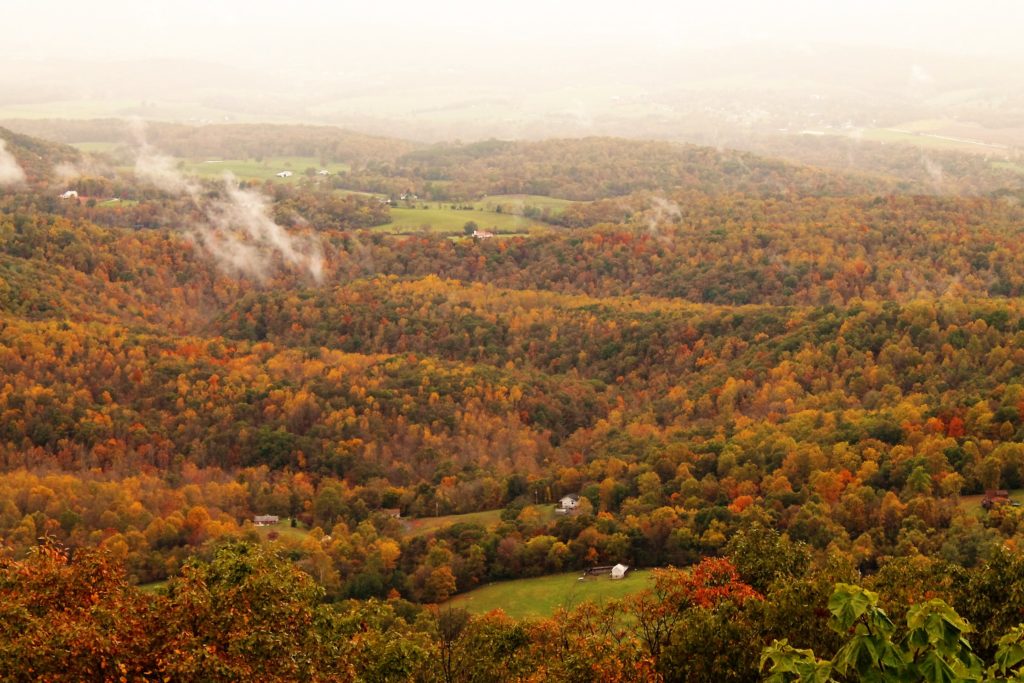 Shenandoah Fall Foliage Peak 2025